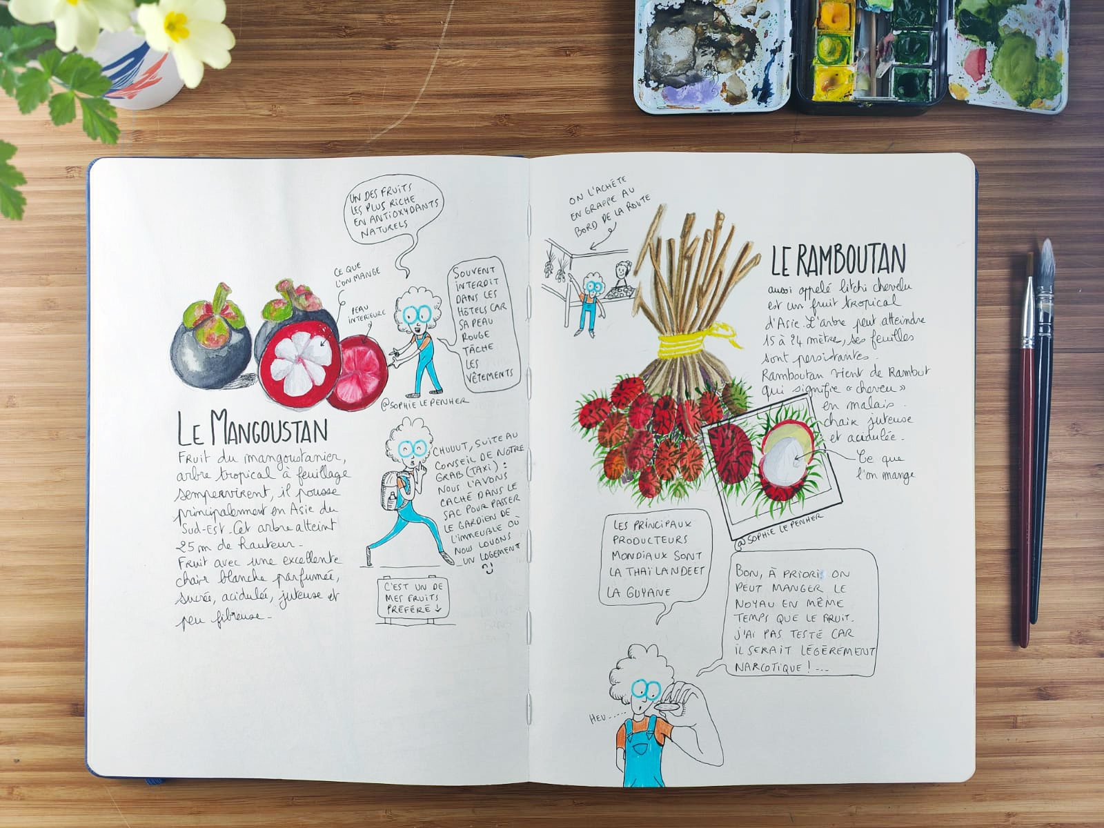 Formation carnet vivant – Image 3
